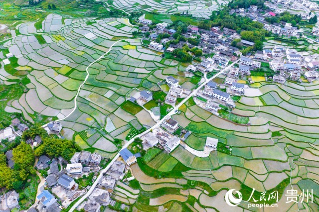 FлϪ^(q)W(wng)ӛ Ϳz